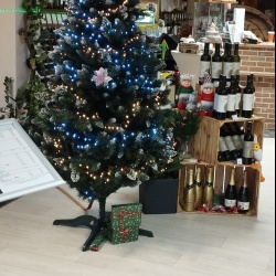 Šternberk, Uničovská 237