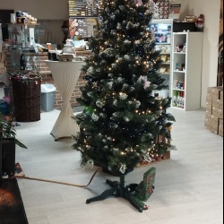 Šternberk, Uničovská 237