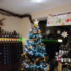 Šternberk, Uničovská 237