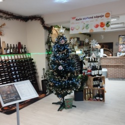 Šternberk, Uničovská 237